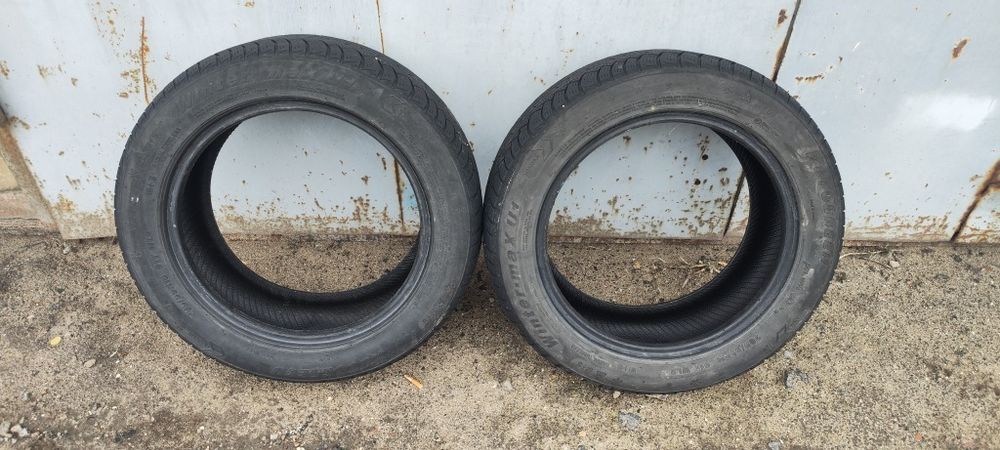 Autogreen Wintermax U1 205/55 R16 91T - 2шт.