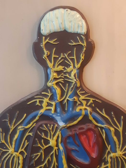 Навчальна та наглядна біологія з листового пластику. Барельєф 2.СРСР.