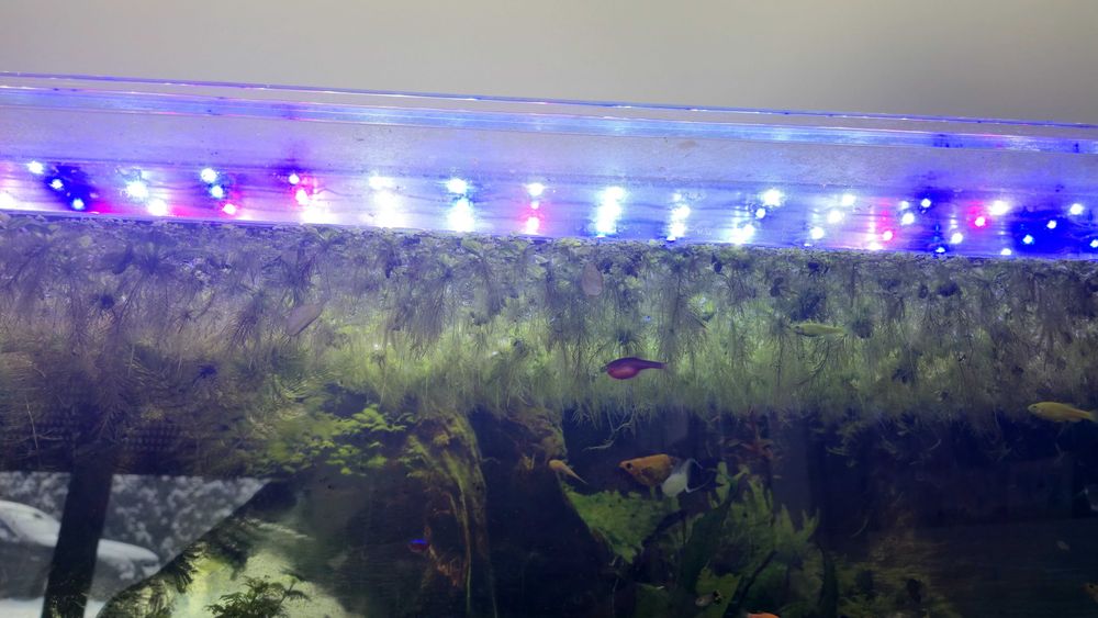 Belka led plant akwariowa 120cm
