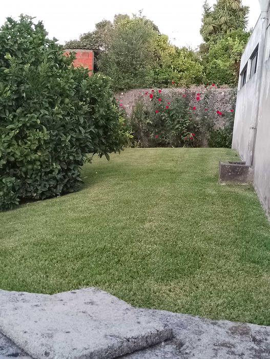 Jardins limpezas terrenos construção jardins