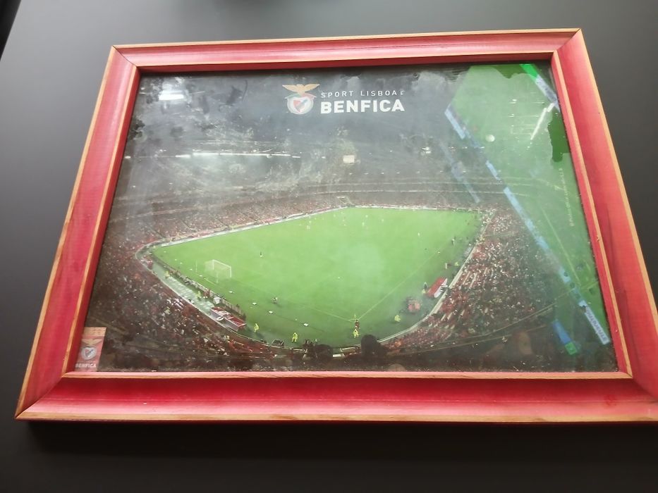 Quadro..DO..BENFICA