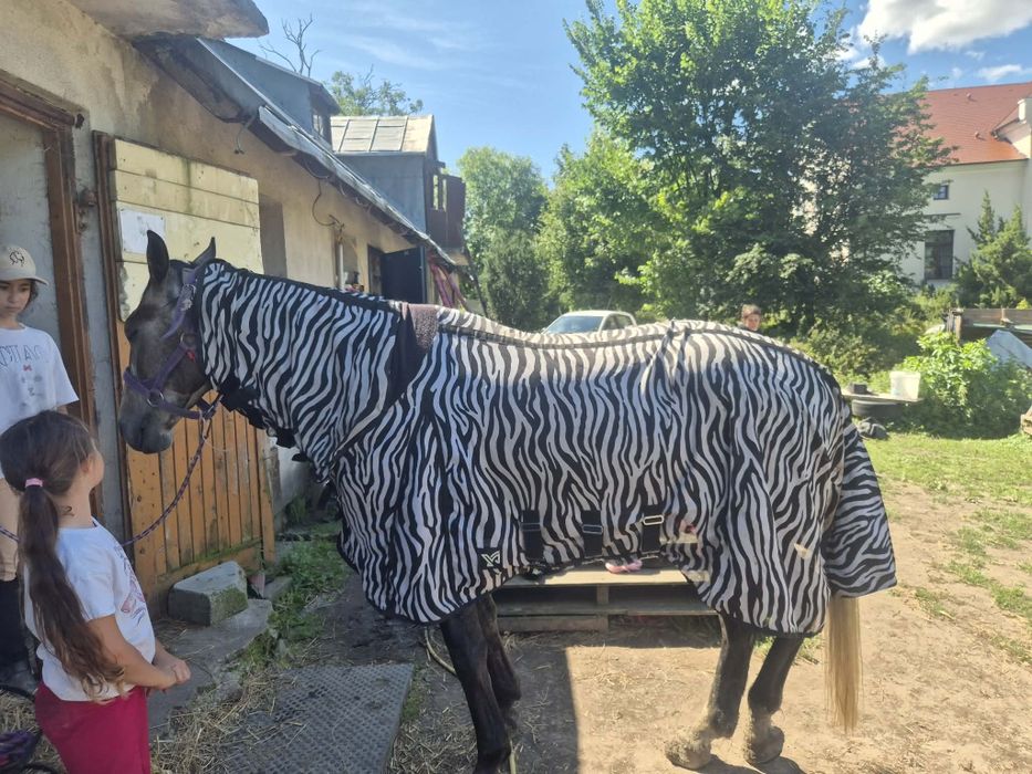 Derka siatkowa 155cm zebra
