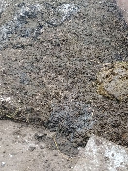 Отдам навоз тільки самовивіз.
