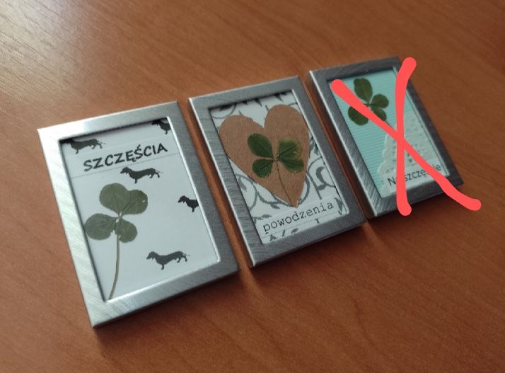Mała ramka z czterolistną koniczynką. Na prezent. Na szczęście.