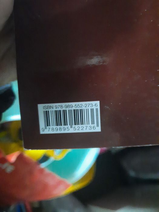 Livro Profundo Silêncio das manhãs de domingo