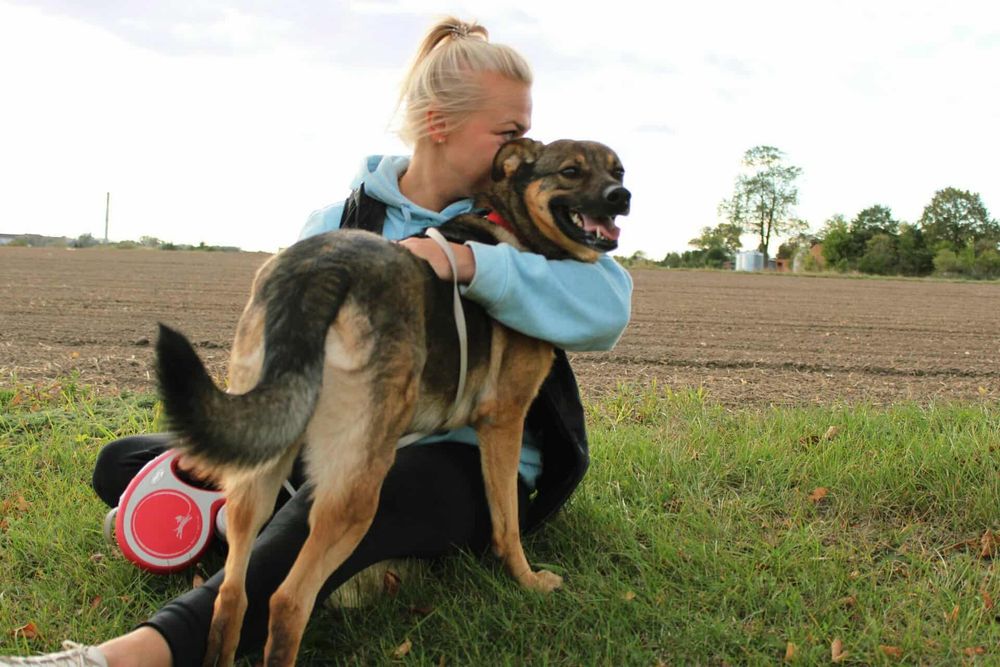 DO ADOPCJI – Kama szuka domu