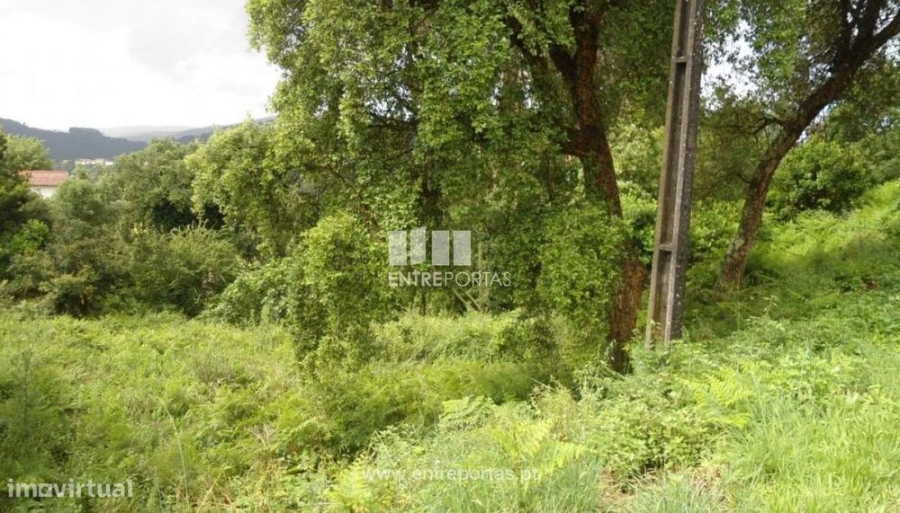 Venda Lote de Terreno,Rio Mau, Penafiel — Marco, Porto