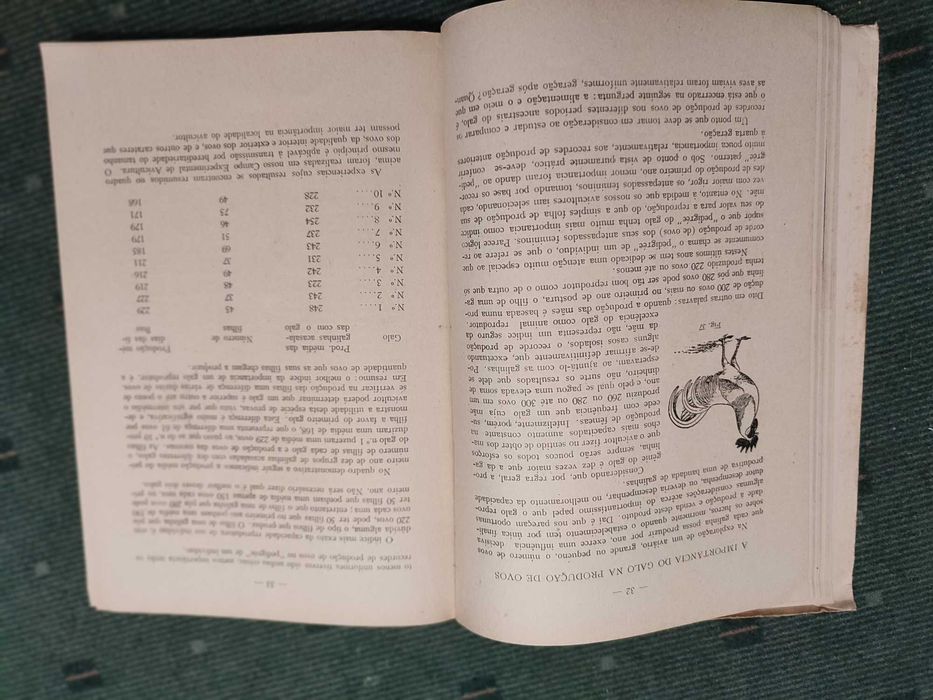 Manual de Avicultura