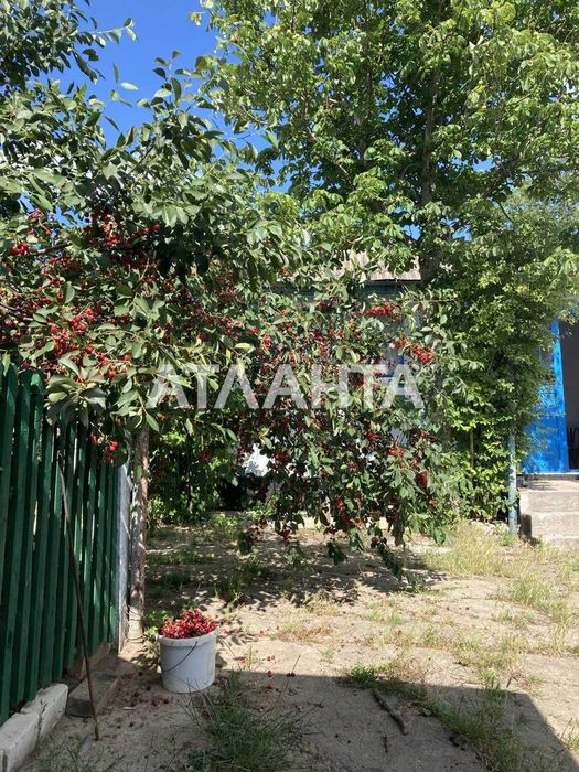 Продам будинок у селі Паліївка з земельною ділянкою 107 соток!