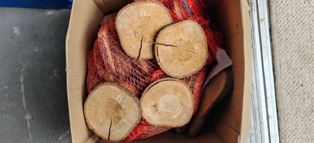 Krążki dębowe, plastry sezonowe różne wielkości, grubość około 1cm