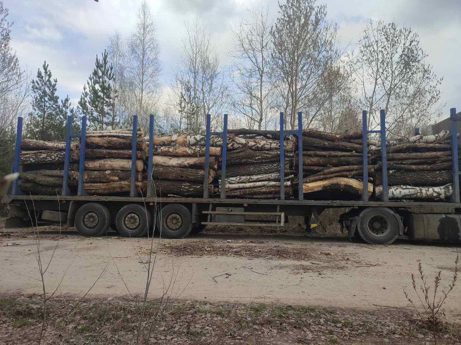 Дрова різних порід