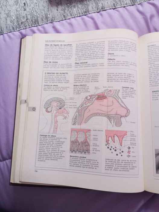 2 volumes Enciclopédia de Medicina