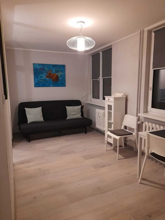 Mieszkanie do wynajęcia w centrum miasta