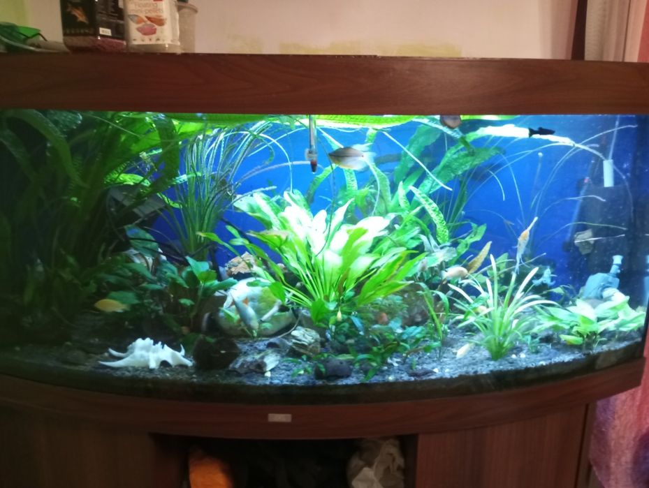 Акваріум.діючий з усім