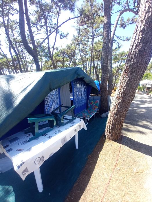 Auto-tenda Grou Estimada