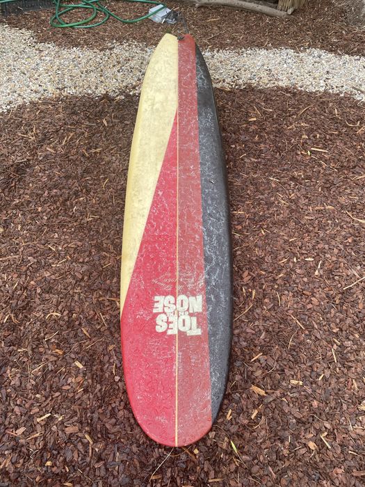 Longboard 9.0 fusion nose rider fish tail