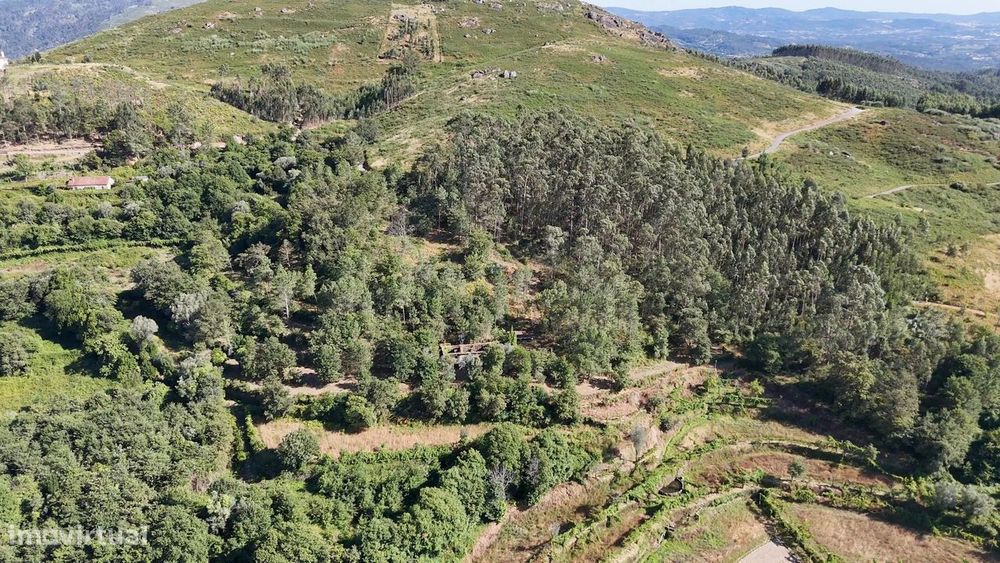Quinta com 2 Hectares e Casa em Pedra para Recuperar em Gomide, Vila V
