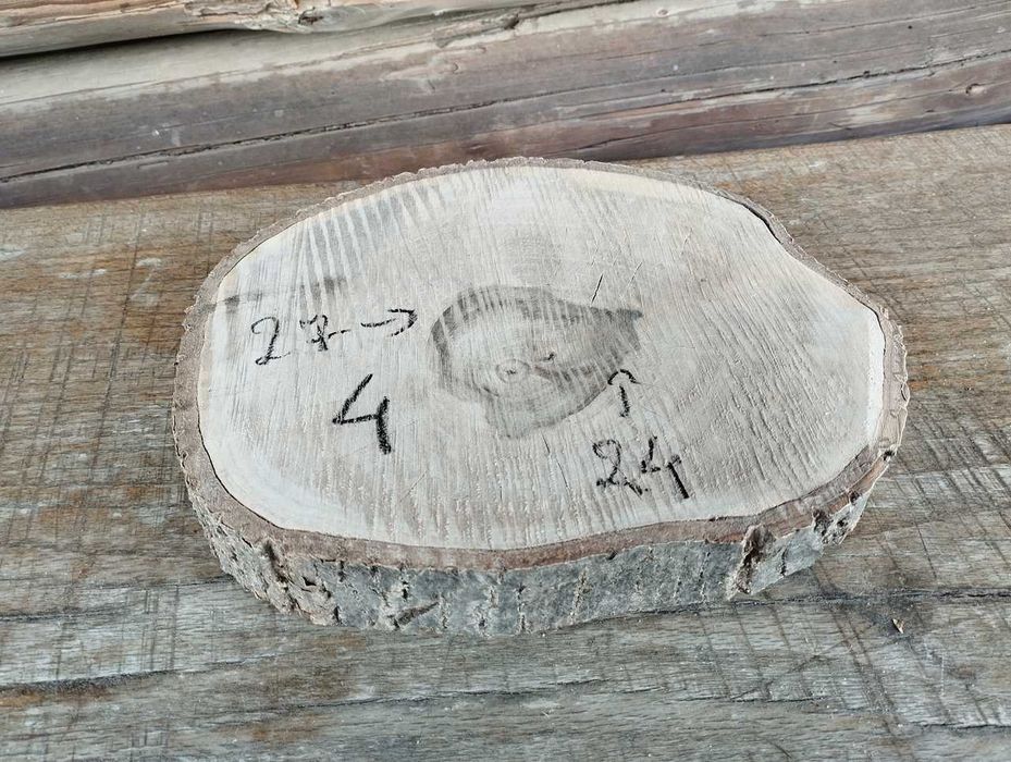 Plaster drewna Ładny Orzech DIY Wybór Sztuki HIT Cena za 3 sztuki