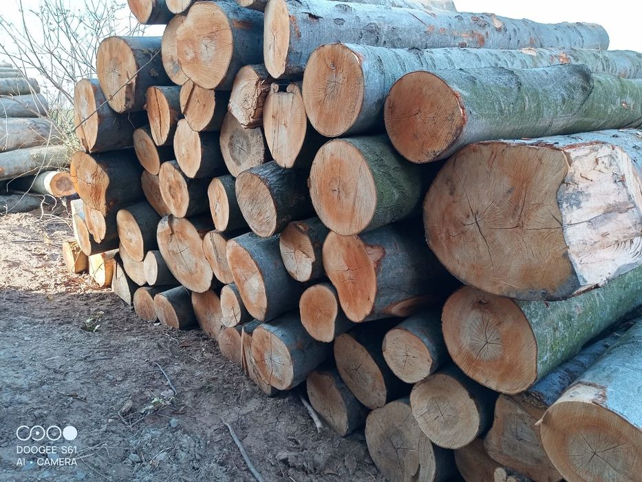 Drewno kominkowe opałowe