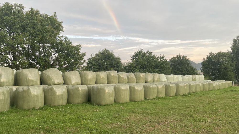 Siano baloty: hala. Sianokiszonka