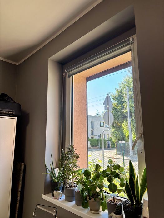 Kawalerka 32 m² na wynajem Poznań Grunwald - Widok 4