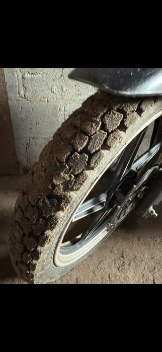 Мустанг регіон 200