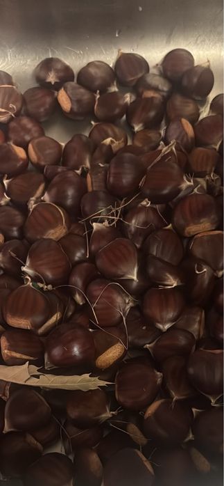 Castanhas de Vinhais