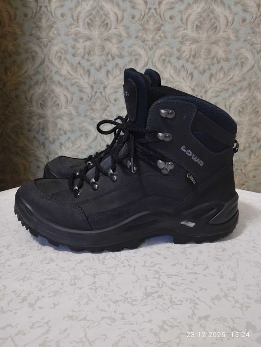 Черевики Lowa Renegade GTX Mid
