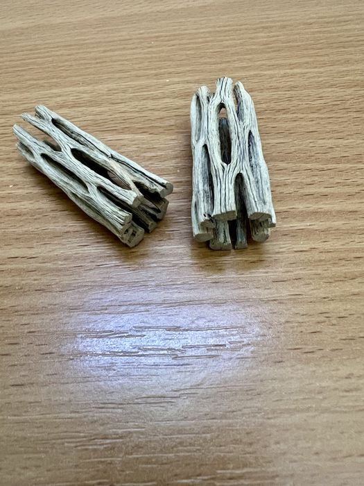 Трубки Кактуса Чола в акваріум