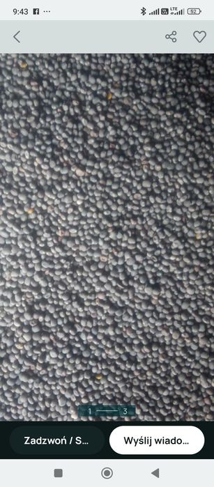 Lubin waskolistny slodki