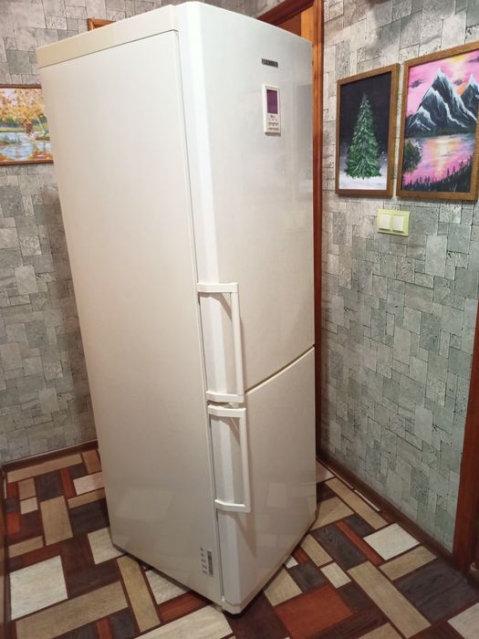 Холодильник Samsung RL 38ECVB1