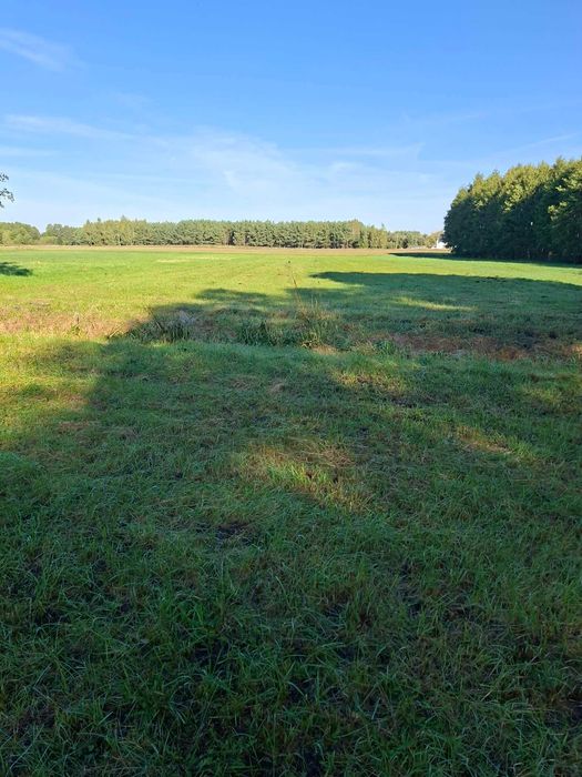 Grunty rolne 0,98ha - Więcej