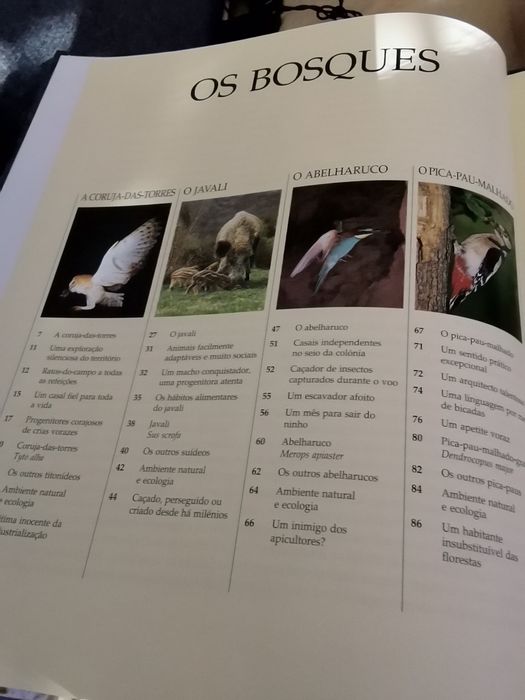 Vida Selvagem : Animais dos litorais e ilhas, Animais dos bosques...