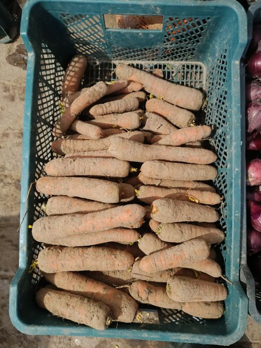 Sprzedaż detaliczna i hurtowa warzyw