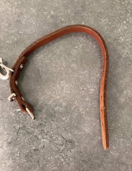 Trela e coleira em pele para cão pequeno