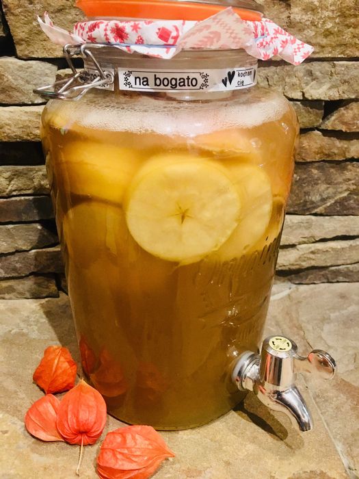 Kombucha Grzyb Herbaciany 10 cm + starter+ ulotki