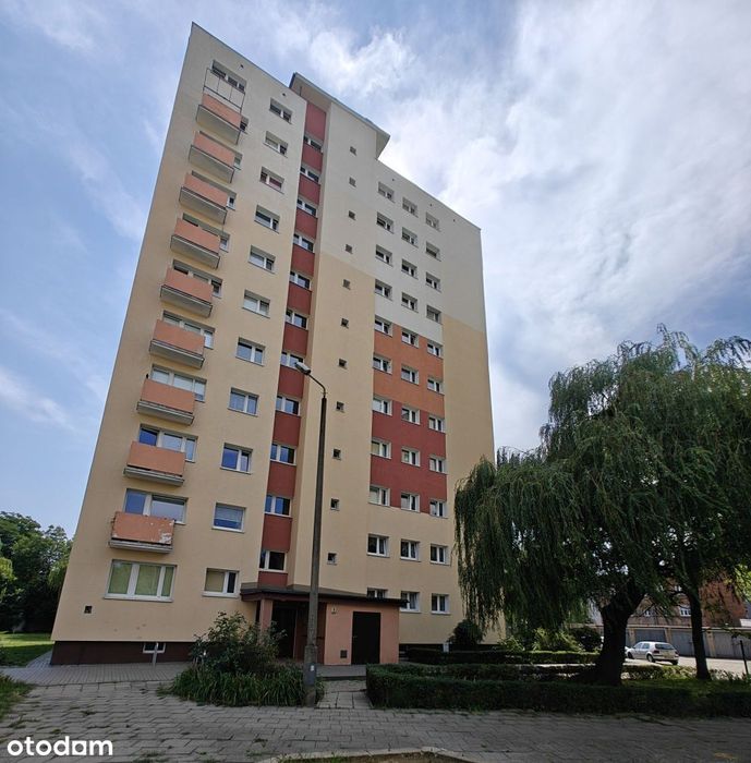 Trzy niezależne pokoje w bloku na Górczynie