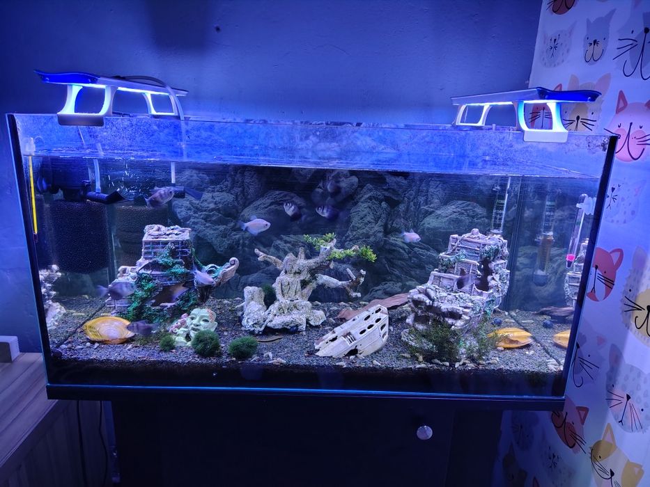 Akwarium 120 litrów