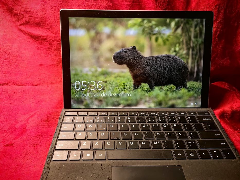 Surface pro4 i7 16gb ram 256gb ssd