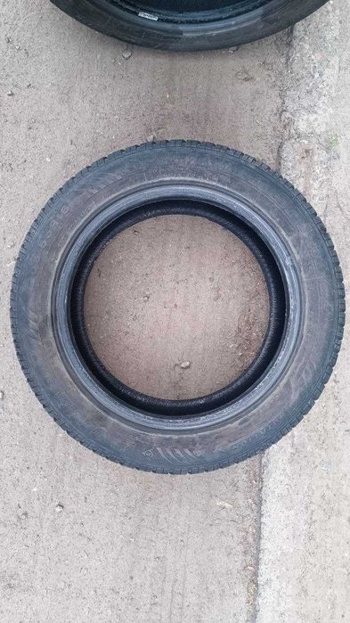 Зимові шини Dunlop 205/55/r16 91h SP winter sport 4d 2023 рік