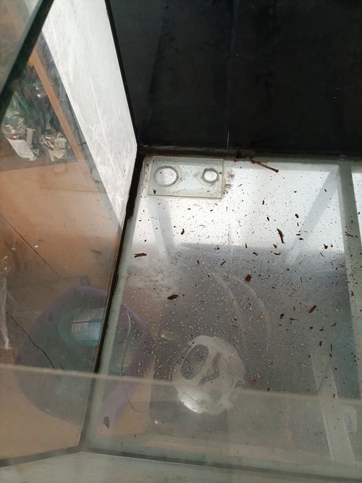 Aquário 270 litros com estrutura metálica