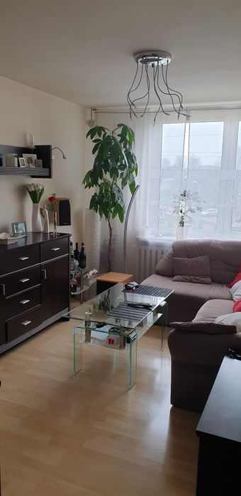 Mieszkanie do wynajęcia
