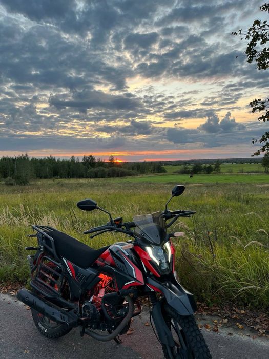 Продам мустанг 250