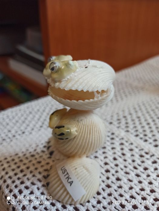 Wyroby z muszli 4 sztuki