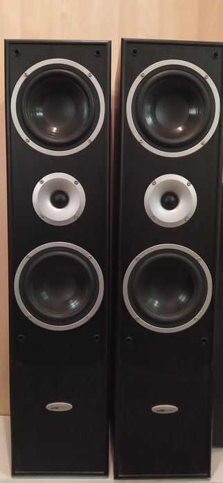 Głośniki podłogowe Clatronic LB 562