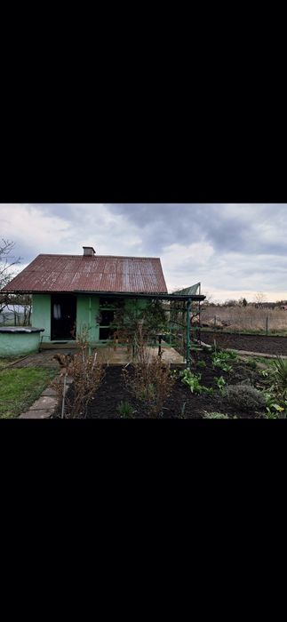 Działka ROD w Oleśnicy