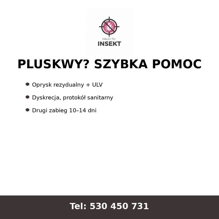 Pluskwy w mieszkaniu? Skuteczna dezynsekcja | Kraków