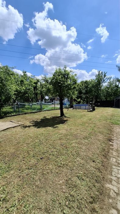 Ogródek działkowy ROD Grodziec - Widok 3