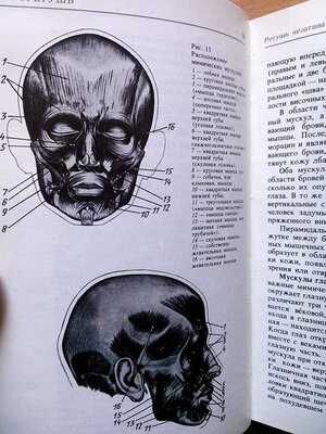 Фоторетушь". Парфёнов. Фельдман.