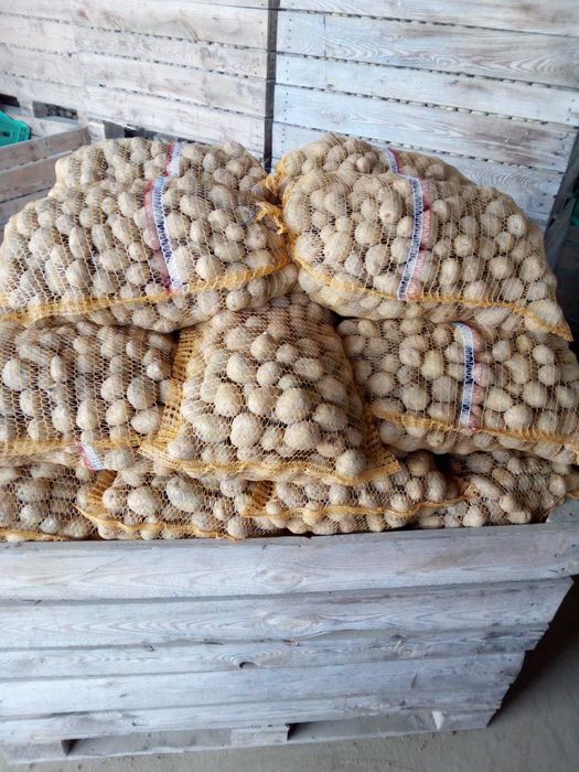 Ziemniaki drobne 35-50 Riviera, Soraya, 6zl worek